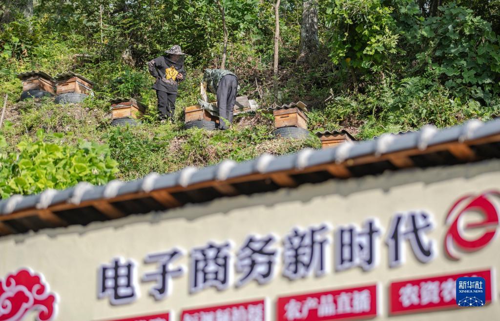 捕鱼游戏赚钱换人民币的网页